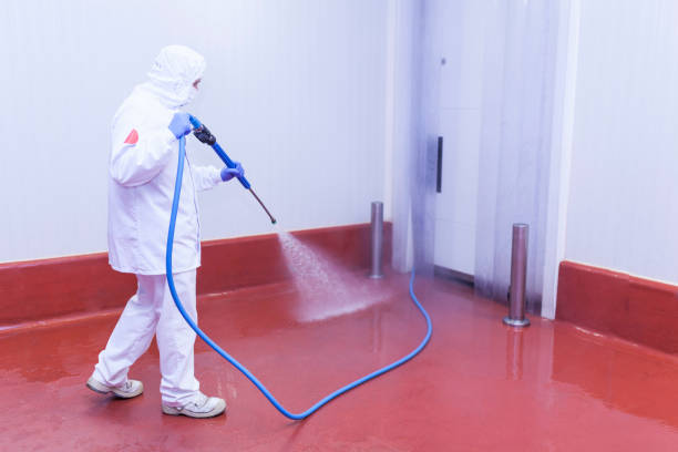 Pre-Holiday Cleaning in Slayton, MN